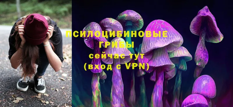 Галлюциногенные грибы Psilocybine cubensis  цена   площадка какой сайт  Шелехов 